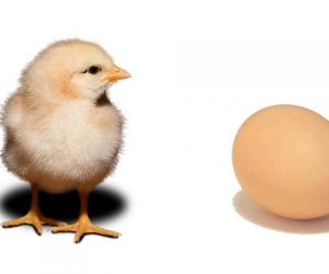 Marketing Automation Chicken or CRM Egg?