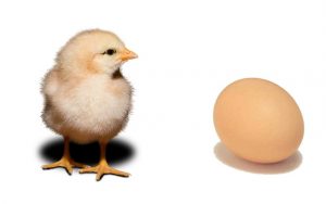 Marketing Automation Chicken or CRM Egg?