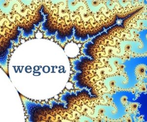Wegora’s Non-Linear Collaboration & Semantic Tool